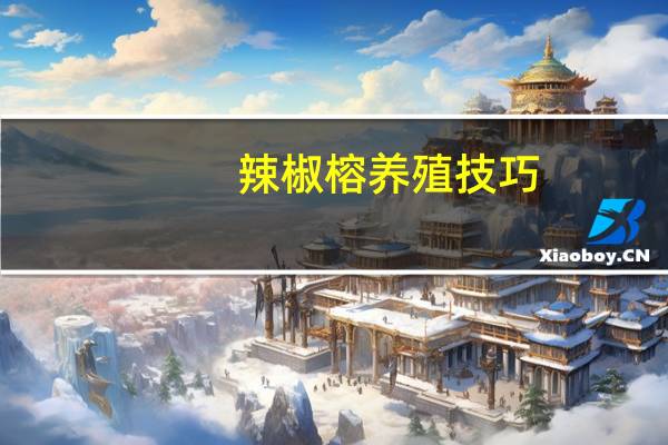 辣椒榕养殖技巧