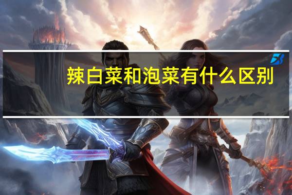 辣白菜和泡菜有什么区别