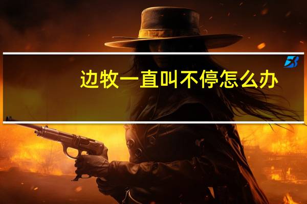 边牧一直叫不停怎么办