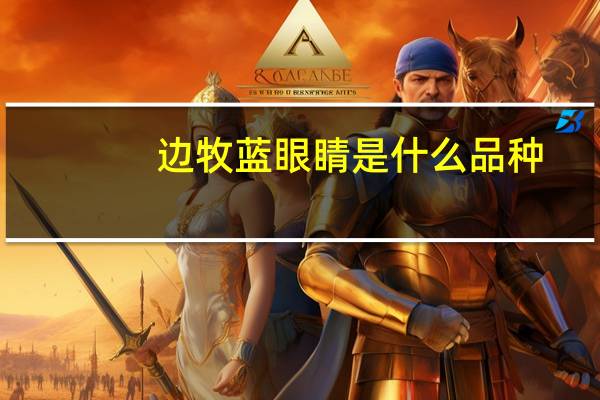 边牧蓝眼睛是什么品种