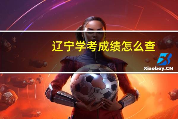 辽宁学考成绩怎么查