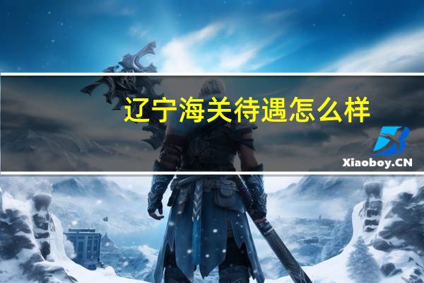 辽宁海关待遇怎么样