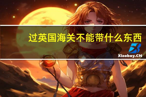 过英国海关不能带什么东西