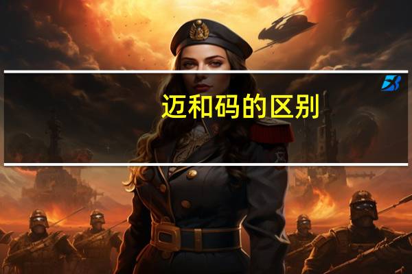 迈和码的区别