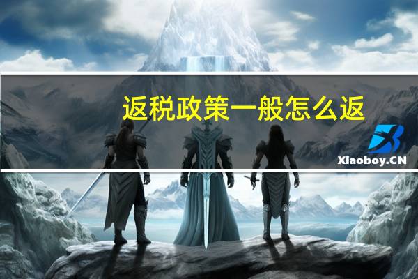 返税政策一般怎么返
