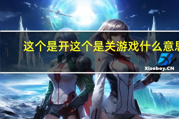 这个是开这个是关游戏什么意思