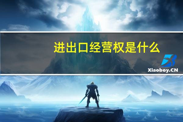 进出口经营权是什么