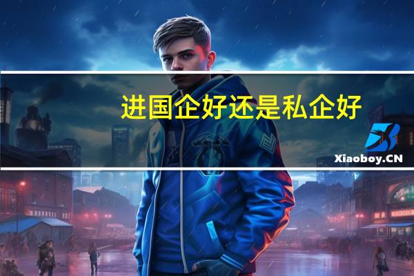 进国企好还是私企好