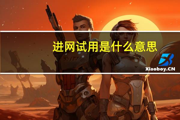 进网试用是什么意思