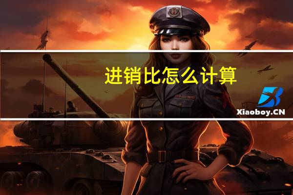 进销比怎么计算