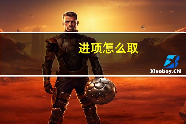 进项怎么取