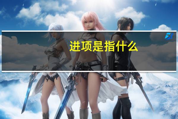 进项是指什么
