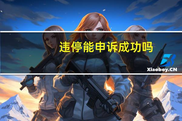 违停能申诉成功吗