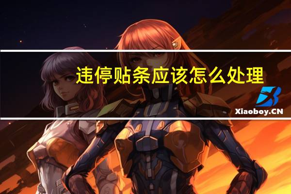 违停贴条应该怎么处理