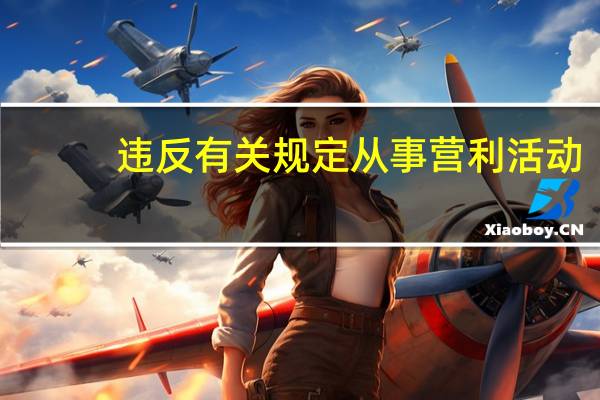 违反有关规定从事营利活动