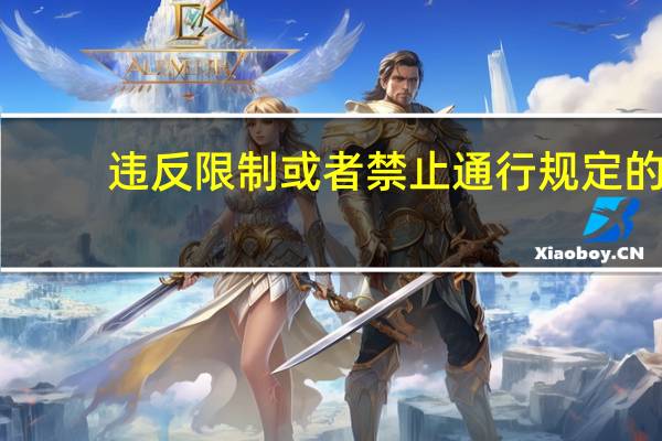 违反限制或者禁止通行规定的