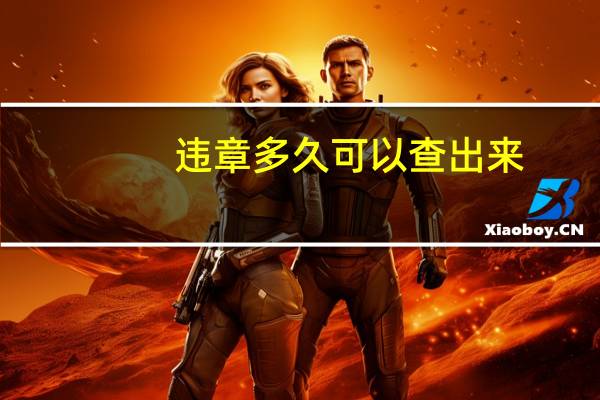违章多久可以查出来