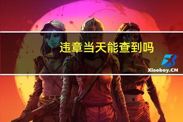 违章当天能查到吗