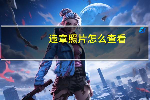 违章照片怎么查看