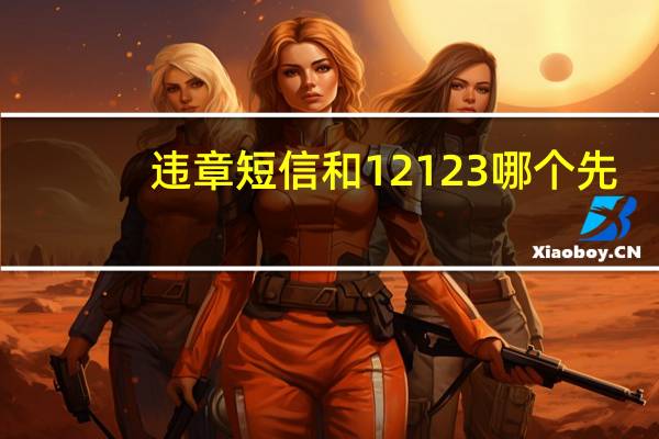 违章短信和12123哪个先