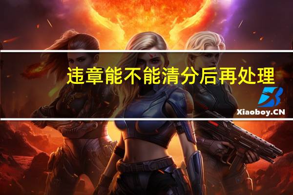 违章能不能清分后再处理