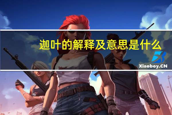 迦叶的解释及意思是什么