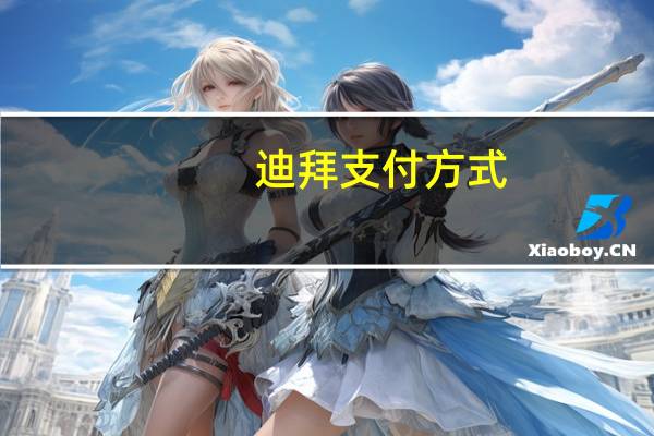 迪拜支付方式