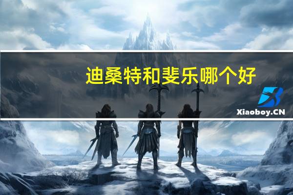 迪桑特和斐乐哪个好