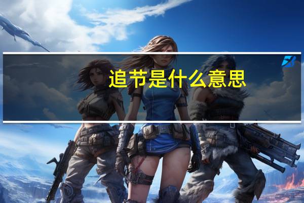 追节是什么意思