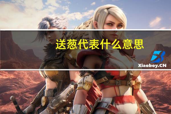 送葱代表什么意思