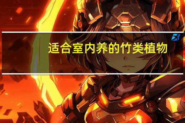 适合室内养的竹类植物