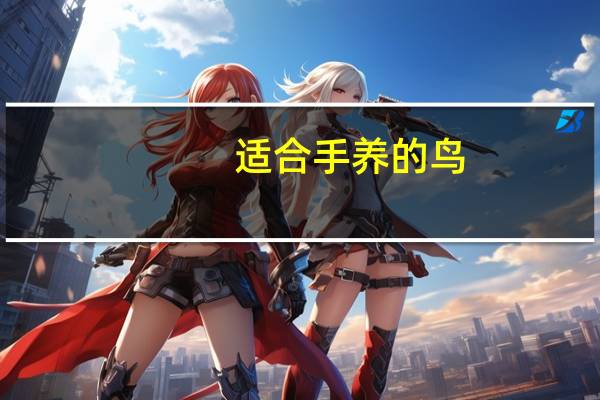 适合手养的鸟