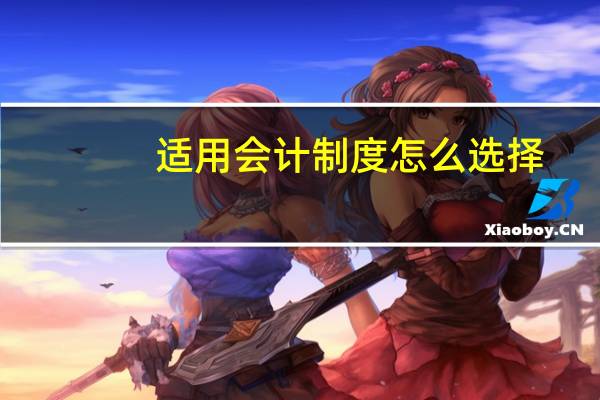 适用会计制度怎么选择