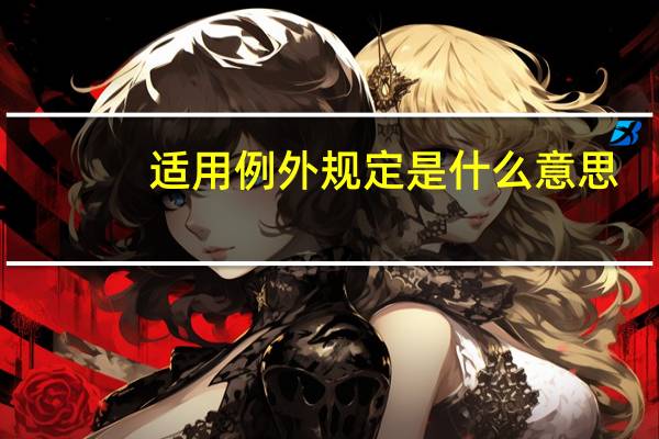 适用例外规定是什么意思