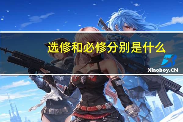选修和必修分别是什么