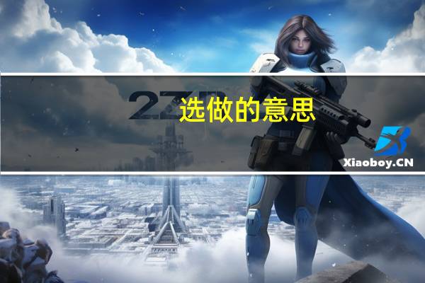 选做的意思