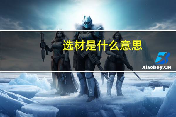 选材是什么意思
