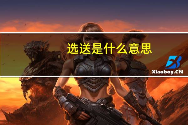 选送是什么意思