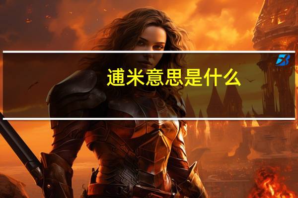 逋米意思是什么