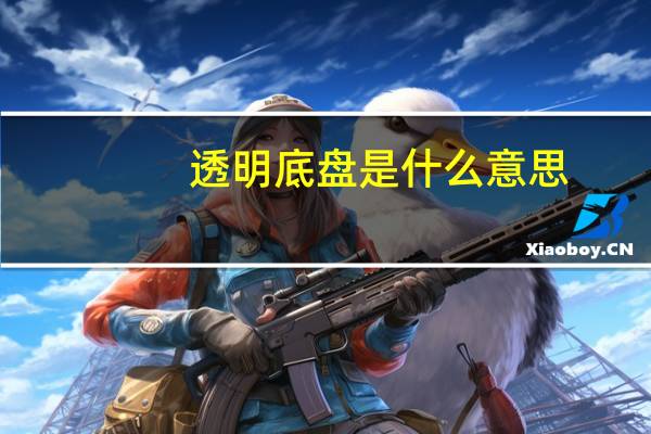 透明底盘是什么意思