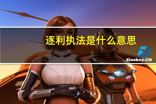 逐利执法是什么意思