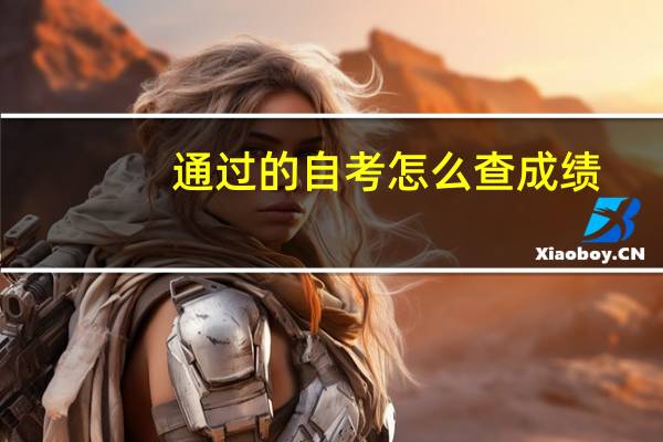 通过的自考怎么查成绩