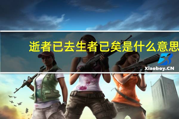 逝者已去生者已矣是什么意思