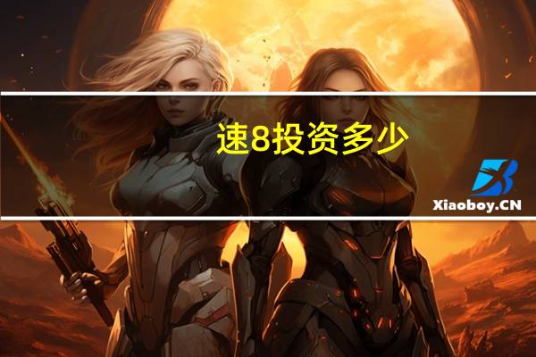 速8投资多少