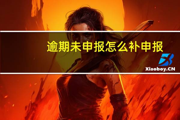 逾期未申报怎么补申报