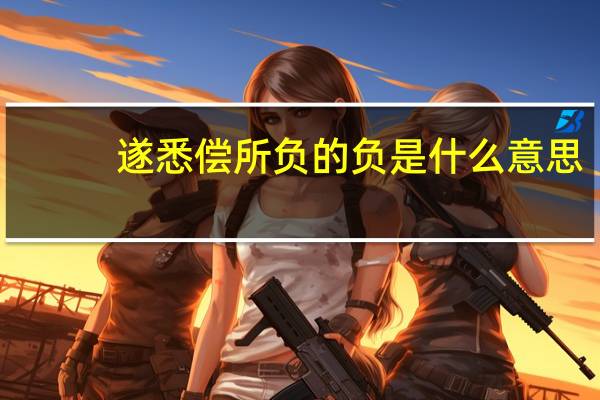 遂悉偿所负的负是什么意思