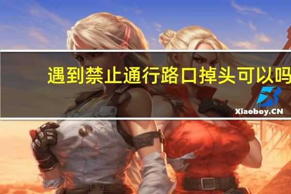 遇到禁止通行路口掉头可以吗