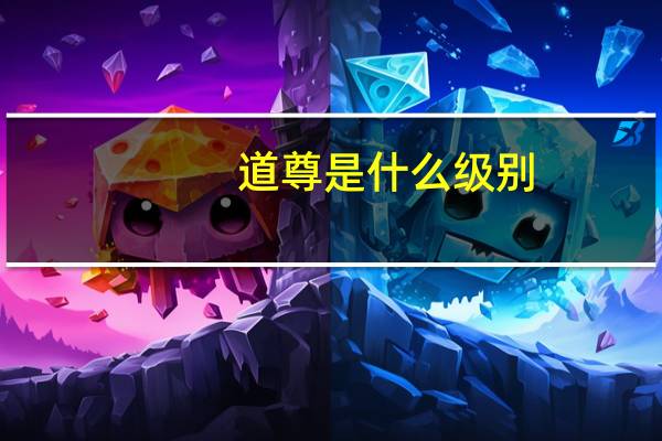 道尊是什么级别
