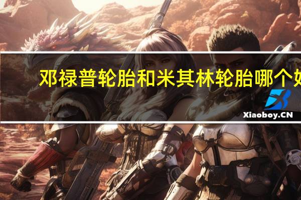邓禄普轮胎和米其林轮胎哪个好