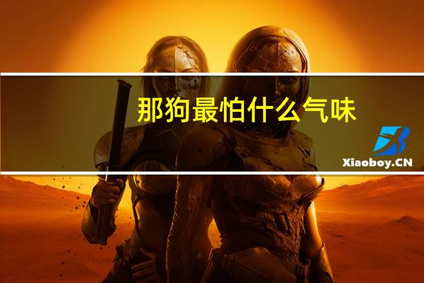 那狗最怕什么气味
